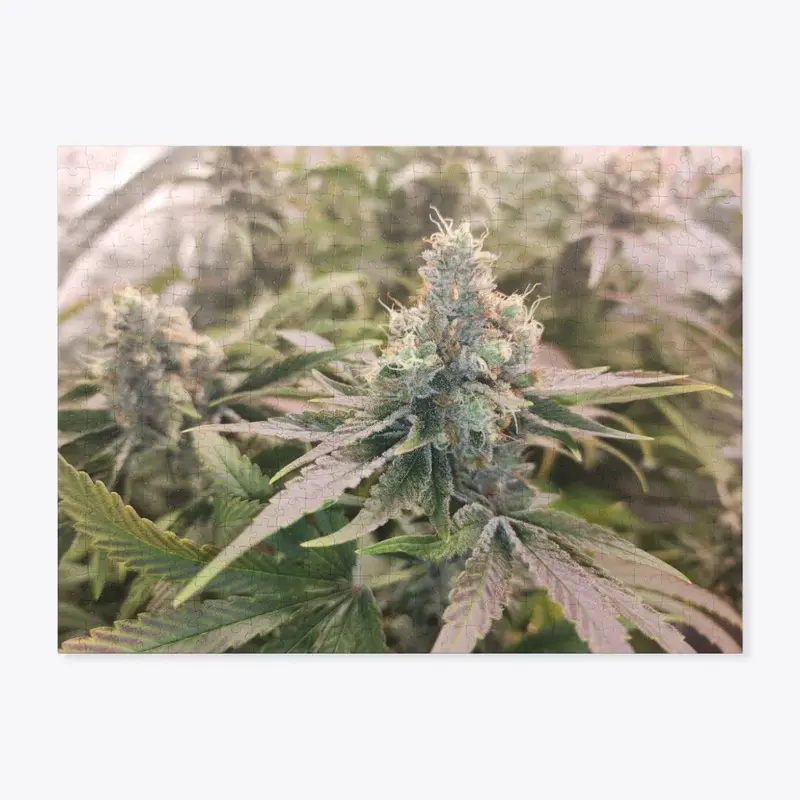 Skywalker OG Puzzle